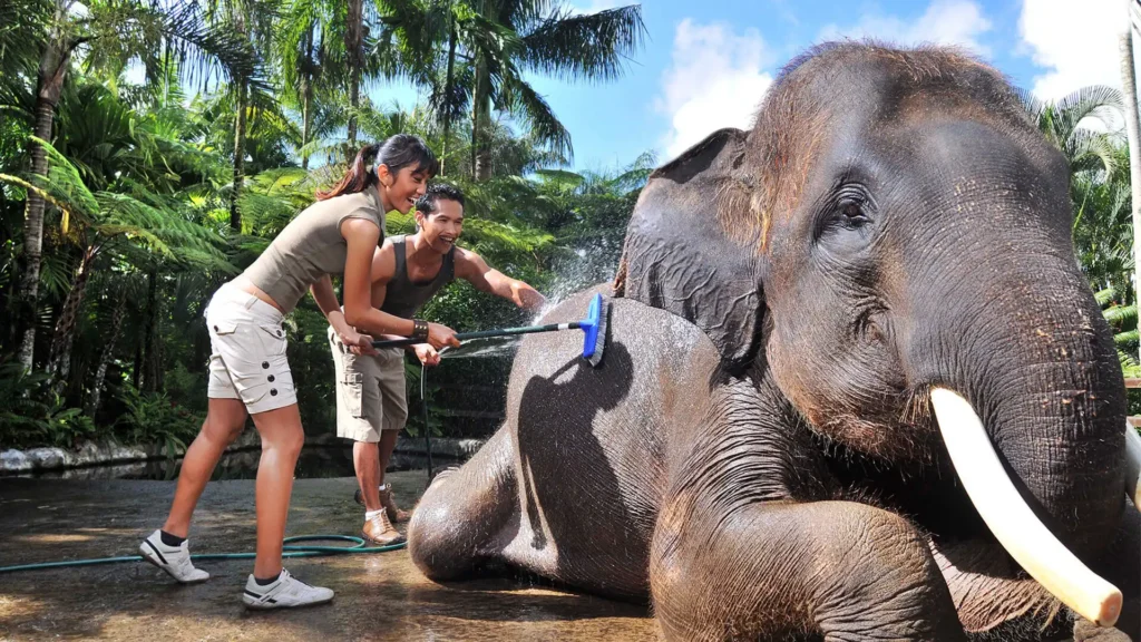 Elephant Sanctuary Park